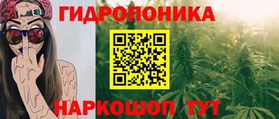 ALPHA PVP Бийск